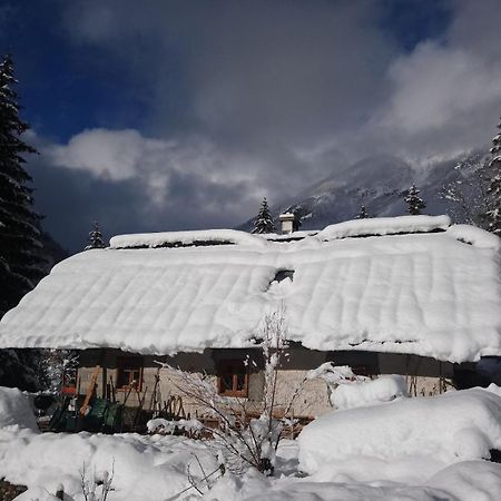 Wild Flower Cottage In Trenta Εξωτερικό φωτογραφία